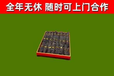 临沭回收海参